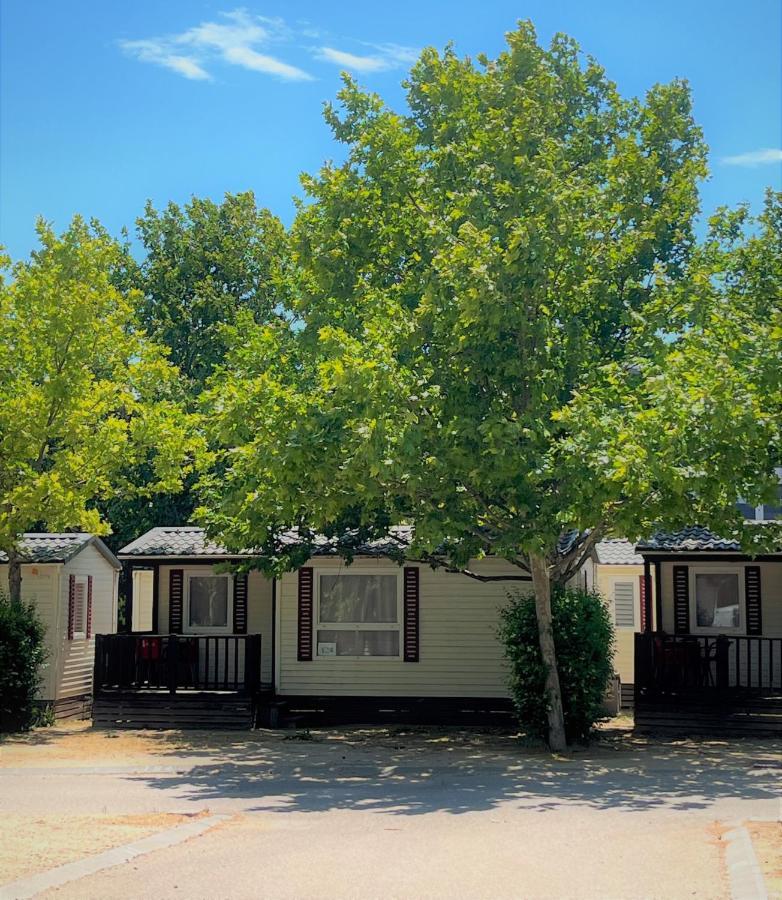 Bungalows Zaragoza Camping Экстерьер фото