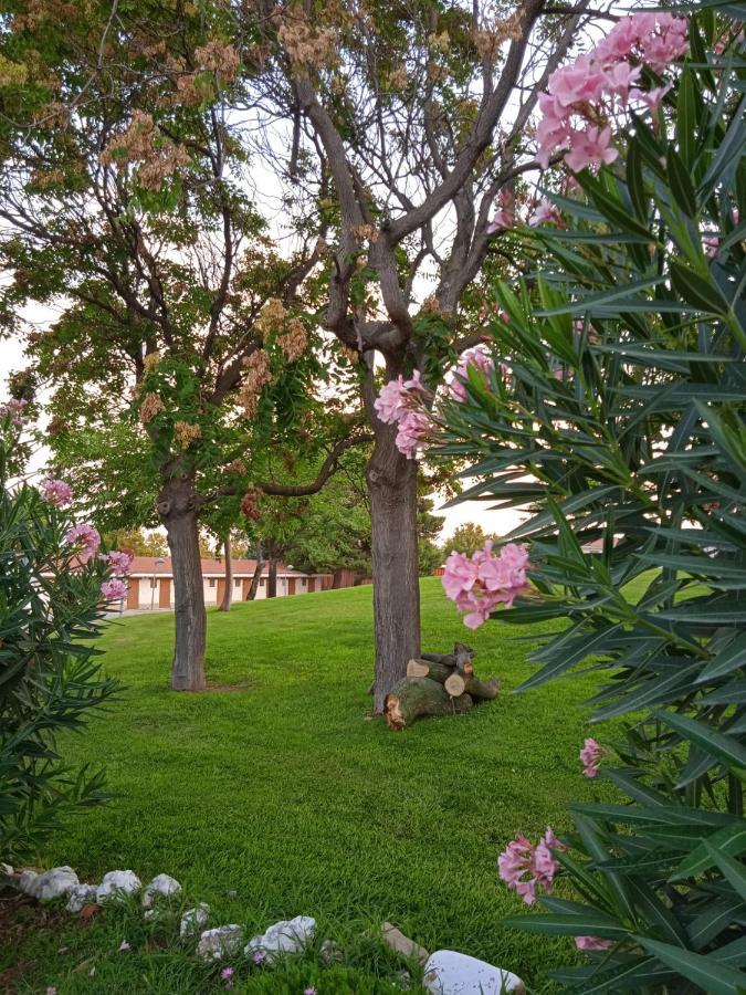 Bungalows Zaragoza Camping Экстерьер фото